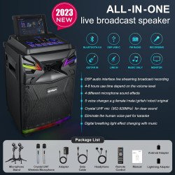 aakka 1703118773 Karaoke Machine with 2 Wireless mics