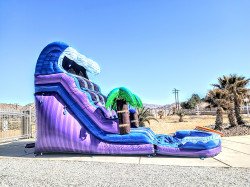 1000005592 1709167265 BODAcIOUS Oasis 17ft Dual Lane Waterslide