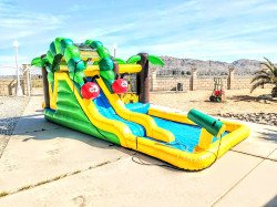 1000006447 1715032088 Toddlers Caterpiller Oasis