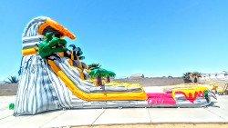 1000006784 1715031856 20ft T-Rex Waterslide