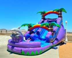 20220702 120740 1678910405 15ft Purple Dolphin Waterslide